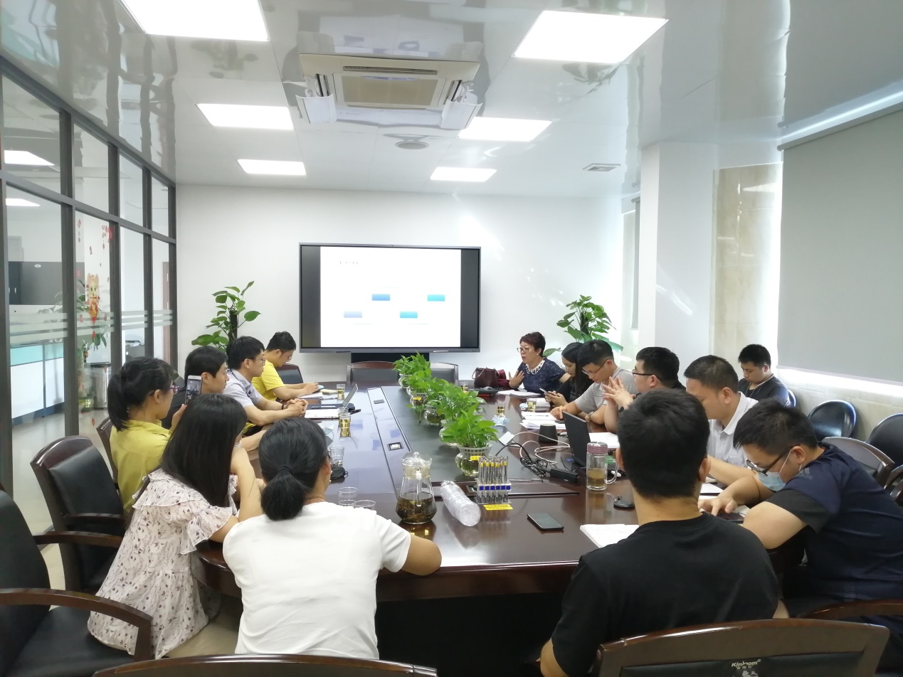 白云山G22恒峰公司召开信息化建设钻研会