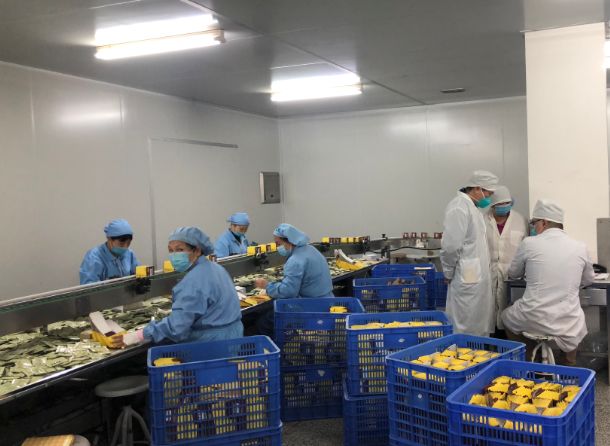 【初心如磐，使命在肩】G22恒峰第三党支部组织员工提前复工保险出产