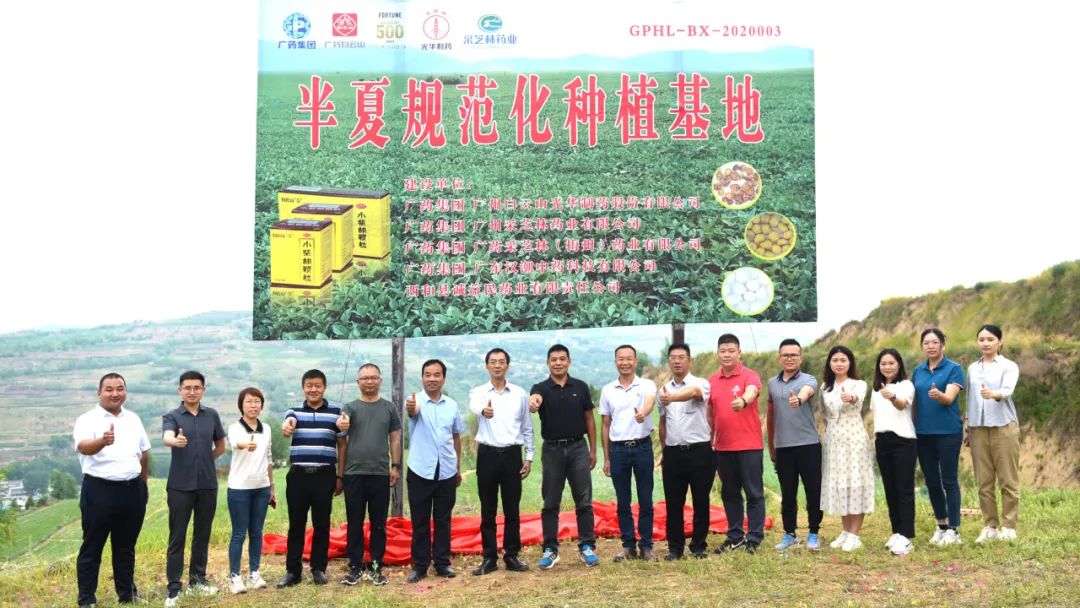 白云山G22恒峰公司实地调查调研中药材规范化基地